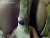 Animal sex clips with dog cock